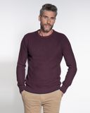 Campbell Classic Trui O-hals