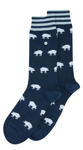 Alfredo Gonzales  Sokken