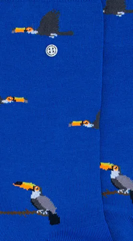 Alfredo Gonzales  Sokken